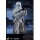 Star Wars Battlefront Videogame Masterpiece Action Figure 2-Pack 1/6 Snowtroopers 30 cm